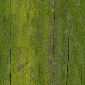 ModernOld Wood Texture