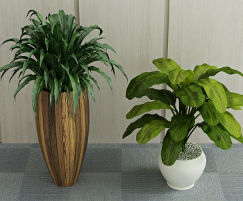 Modern Potted Green Plant-ID:837331063