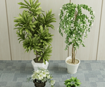 Modern Potted Green Plant-ID:713778028