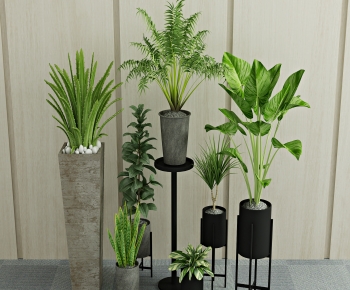 Modern Potted Green Plant-ID:969363939