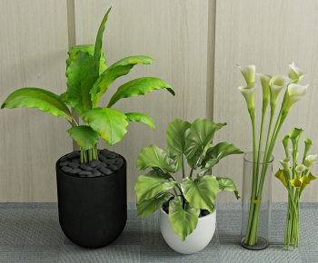 Modern Potted Green Plant-ID:737720974