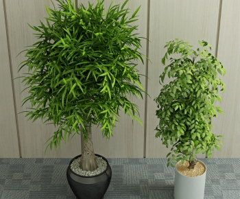 Modern Potted Green Plant-ID:675004016