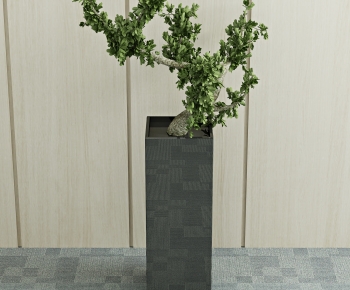 Modern Potted Green Plant-ID:204737903