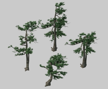 Modern Tree-ID:650122884