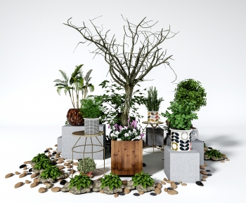 Modern Potted Green Plant-ID:284833916