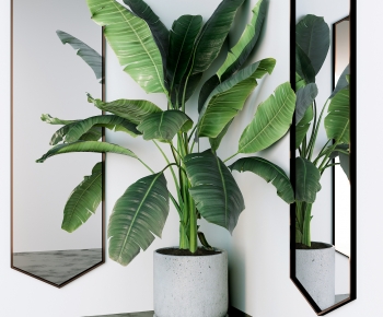 Modern Potted Green Plant-ID:691114906