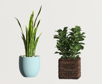 Modern Potted Green Plant-ID:108360052