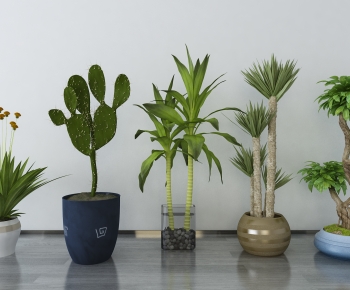 Modern Potted Green Plant-ID:280937919