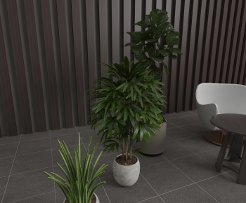 Modern Potted Green Plant-ID:309971093
