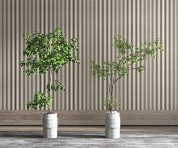 Modern Potted Green Plant-ID:334480051