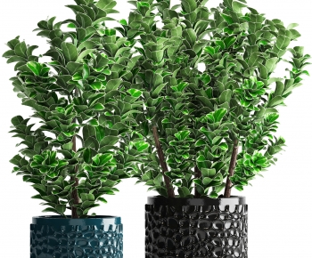 Modern Potted Green Plant-ID:604255915