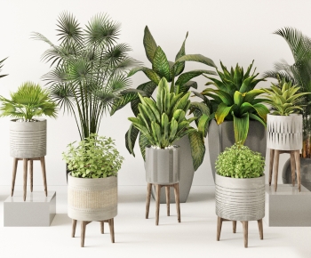 Modern Potted Green Plant-ID:678584106