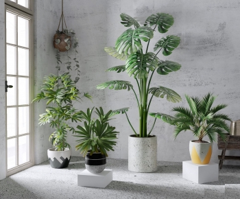 Modern Potted Green Plant-ID:768090017