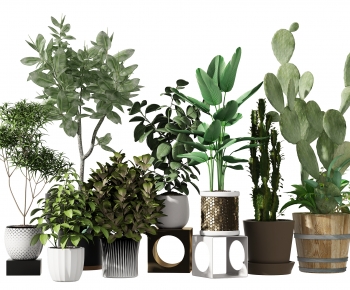 Modern Potted Green Plant-ID:879498002