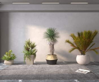 Modern Potted Green Plant-ID:485924968