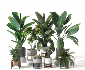 Modern Potted Green Plant-ID:208386909