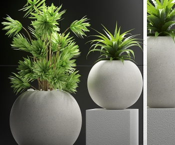 Modern Potted Green Plant-ID:850570273