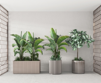 Modern Potted Green Plant-ID:319417005