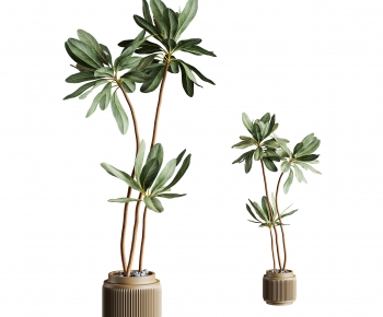 Modern Potted Green Plant-ID:410630776