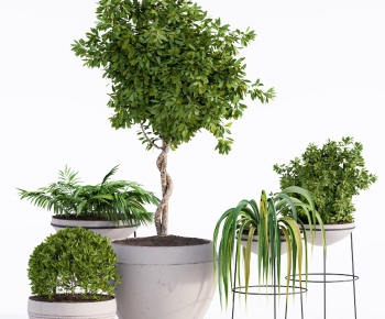 Modern Potted Green Plant-ID:651671897