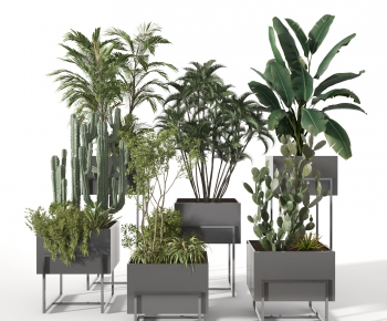 Modern Potted Green Plant-ID:933190112