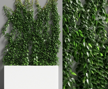 Modern Plant Wall-ID:652005913