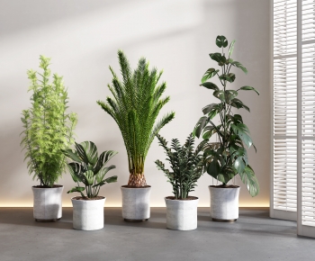 Modern Potted Green Plant-ID:601397991