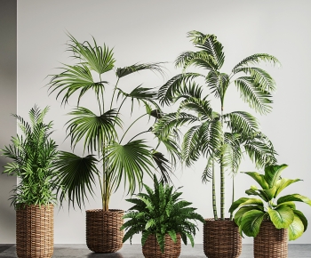 Modern Potted Green Plant-ID:492261892