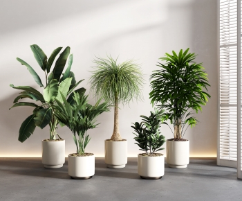 Modern Potted Green Plant-ID:257728108