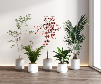 现代落地绿植盆栽组合-ID:669893032