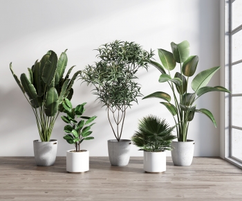 Modern Potted Green Plant-ID:711986066