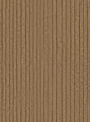 ModernOld Wood Texture