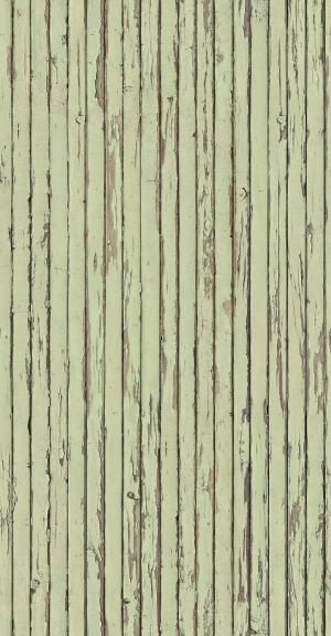 ModernOld Wood Texture