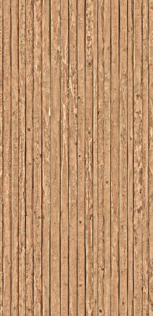 ModernOld Wood Texture