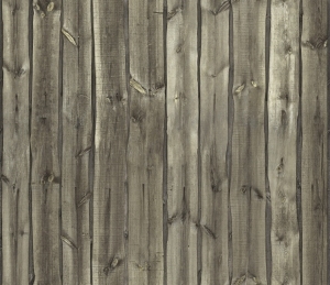 ModernOld Wood Texture