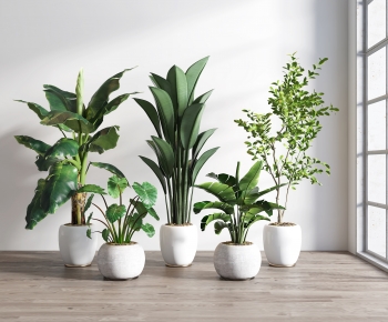 Modern Potted Green Plant-ID:340727091