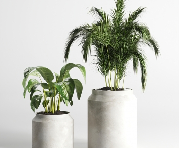 Modern Potted Green Plant-ID:160180094