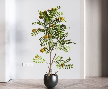 Modern Potted Green Plant-ID:707438951