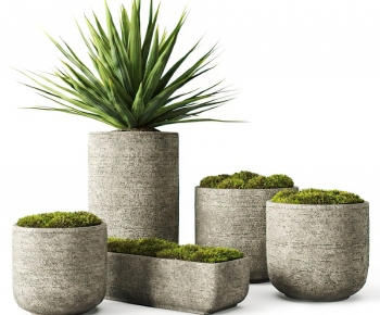 Modern Potted Green Plant-ID:950308081