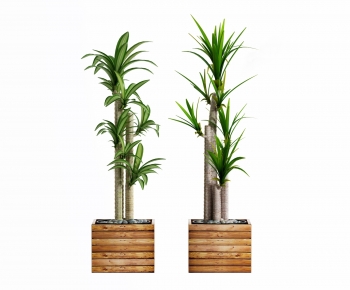 Modern Potted Green Plant-ID:337160115