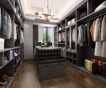 Modern Clothes Storage Area-ID:546545985