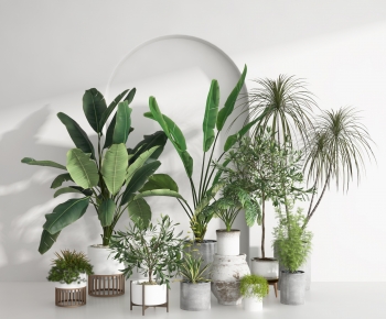 Modern Potted Green Plant-ID:644655949