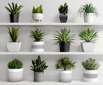 Modern Potted Green Plant-ID:438210964