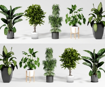 Modern Potted Green Plant-ID:250745068