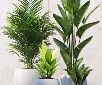 Modern Potted Green Plant-ID:615449918