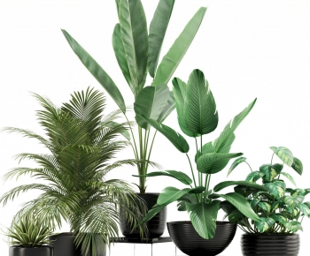 Modern Potted Green Plant-ID:978005899