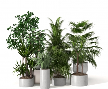 Modern Potted Green Plant-ID:447294004
