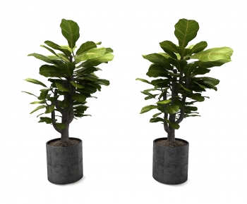 Modern Potted Green Plant-ID:442829127