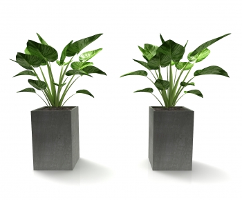 Modern Potted Green Plant-ID:304827937