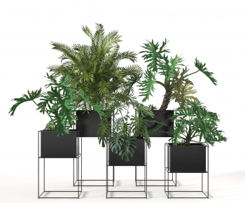 Modern Potted Green Plant-ID:597836021